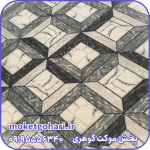 پرابک سفید طوسی